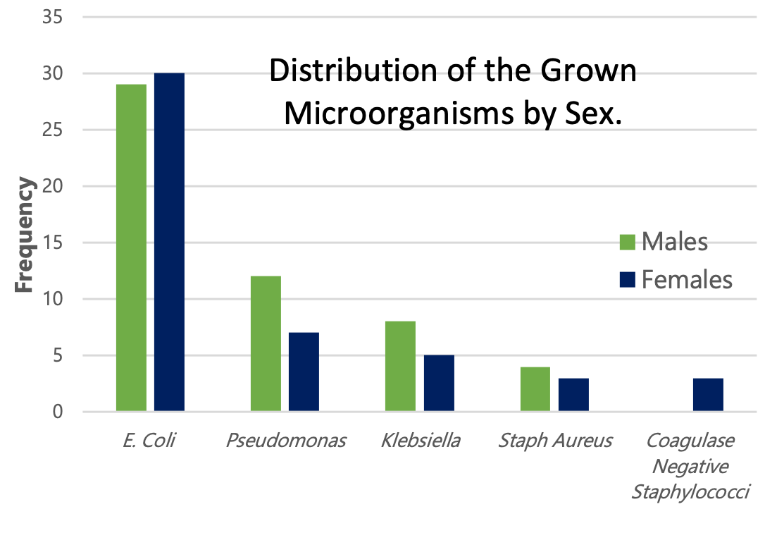 The graph titled "Distribution of the Grown Microorganisms by Sex" shows the frequency of different microorganisms grown from urinary tract infection (UTI) samples, categorized by the patient's sex. The most frequent organism was E. coli, with nearly equal representation between males (29) and females (30). Pseudomonas had a higher occurrence in females (12) than males (7), while Klebsiella, Staphylococcus aureus, and Coagulase-negative staphylococci had slightly higher frequencies in males. This distribution provides insights into the prevalence of UTI-causing pathogens among genders​.