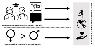 The image presents a visual abstract for the study titled "Effect of Medical Spanish Experience on Confidence and Outcomes During International Medical Trips: Gender Differences in Confidence Levels." It illustrates a flow of outcomes starting with both male and female medical students who undergo Medical Spanish education. This educational experience is represented by a speech bubble containing the letters "ES" for Español (Spanish), suggesting a focus on language training. The outcome of this education is indicated by a directional arrow leading to an icon of a person carrying a suitcase with a medical cross, symbolizing enhanced confidence in international medical service. The abstract also highlights a gender-based distinction, with a greater-than sign showing that female medical students surpass their male counterparts in most categories, which is also connected by an arrow to the final icon, reinforcing the theme of confidence in international medical service. The design suggests that Spanish language proficiency is linked to increased confidence, particularly among female medical students, when participating in international medical trips.