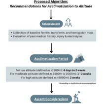 The image presents a flowchart titled Proposed Algorithm: Recommendations for Acclimatization to Altitude. It is organized into three sections. The Before Ascent section recommends collecting baseline ferritin, transferrin, and hemoglobin mass, as well as evaluating past medical history, injuries, and electrolytes. In the Acclimatization Period, the chart provides guidelines based on altitude ranges: for low altitude (defined as less than 1500 meters), the recommended period is 4 days to 2 weeks; for moderate altitude (1500 to 2000 meters), it is 1 to 2 weeks; and for high altitude (greater than 2000 meters), the recommendation is 2 weeks. A note indicates that these durations may vary depending on institutional recommendations. Finally, the Ascent Considerations section is represented visually with an icon of a person climbing a mountain, highlighting the need to consider specific factors during ascent. The flowchart uses a clear layout with arrows and visual elements like people and mountains to organize and emphasize the recommendations effectively